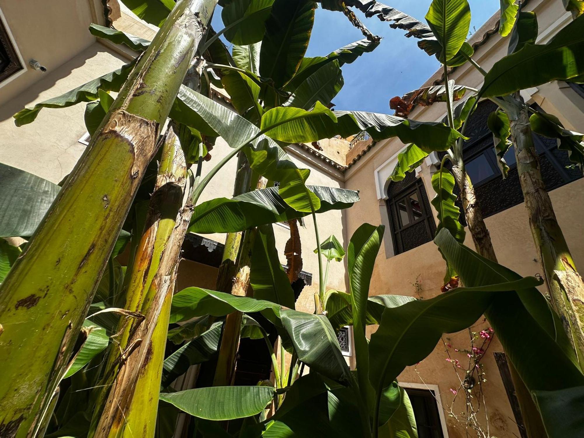 Riad Bamileke Marakéš Exteriér fotografie